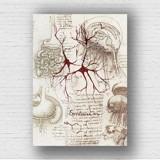 Quadro pôster anatomia Coleção Leonardo Da Vinci: Neurotransmissor serotonina com fórmula molecular (cópia)