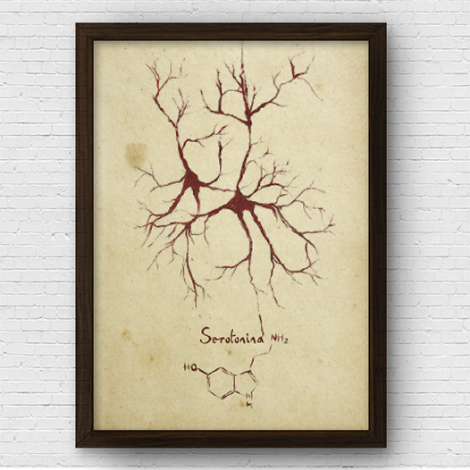 Quadro pôster anatomia: Neurotransmissor serotonina com fórmula molecular