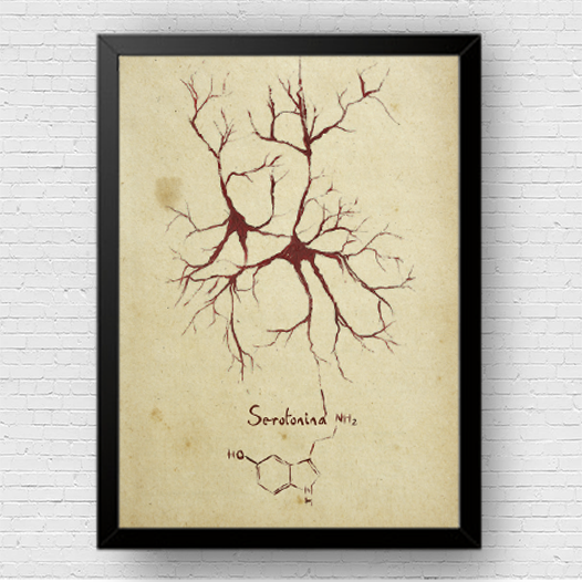 Quadro pôster anatomia: Neurotransmissor serotonina com fórmula molecular