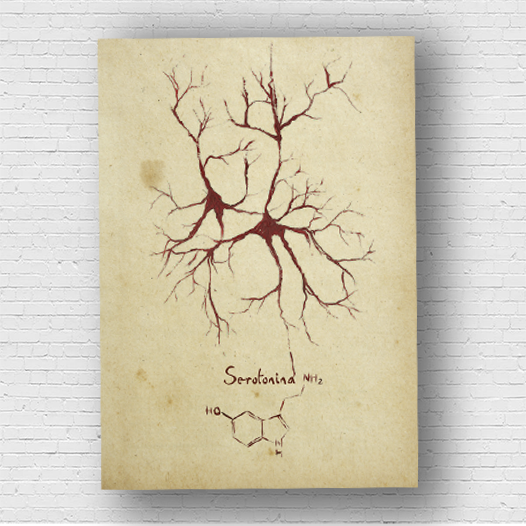 Quadro pôster anatomia: Neurotransmissor serotonina com fórmula molecular
