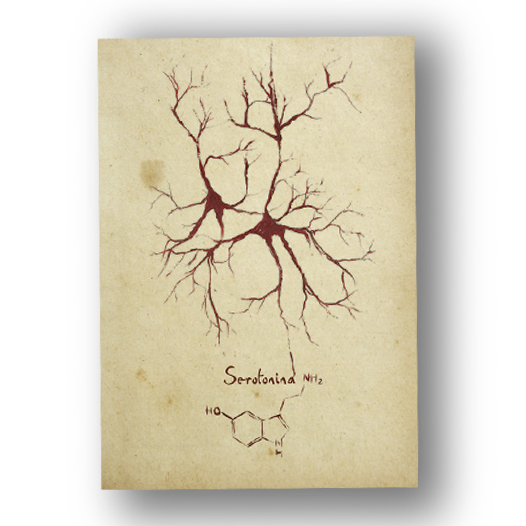Quadro pôster anatomia: Neurotransmissor serotonina com fórmula molecular