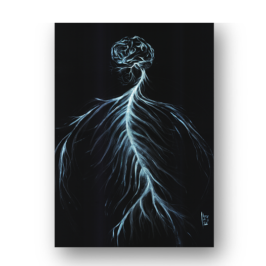 Marco de póster de anatomía: Sistema Nervioso 