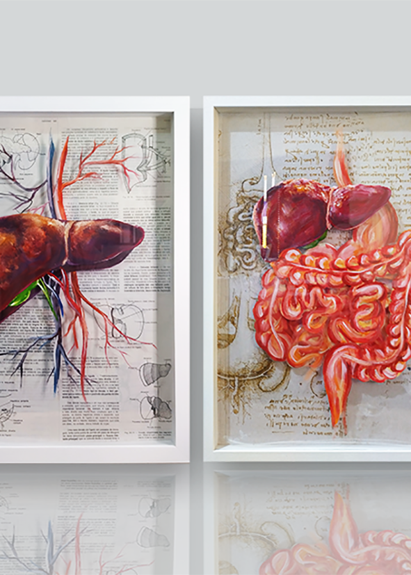 Endocrino/Gastro