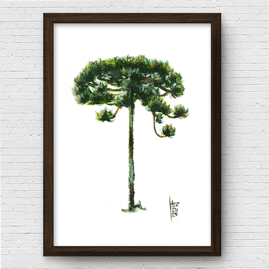 Quadro pôster Floresta de Araucárias