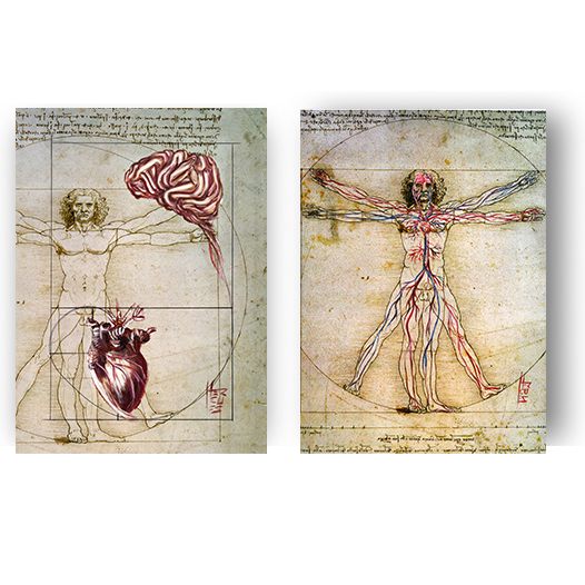 Conjunto de Quadros pôster anatomia Coração e Cérebro , Homem vitruviano Leonardo da Vinci