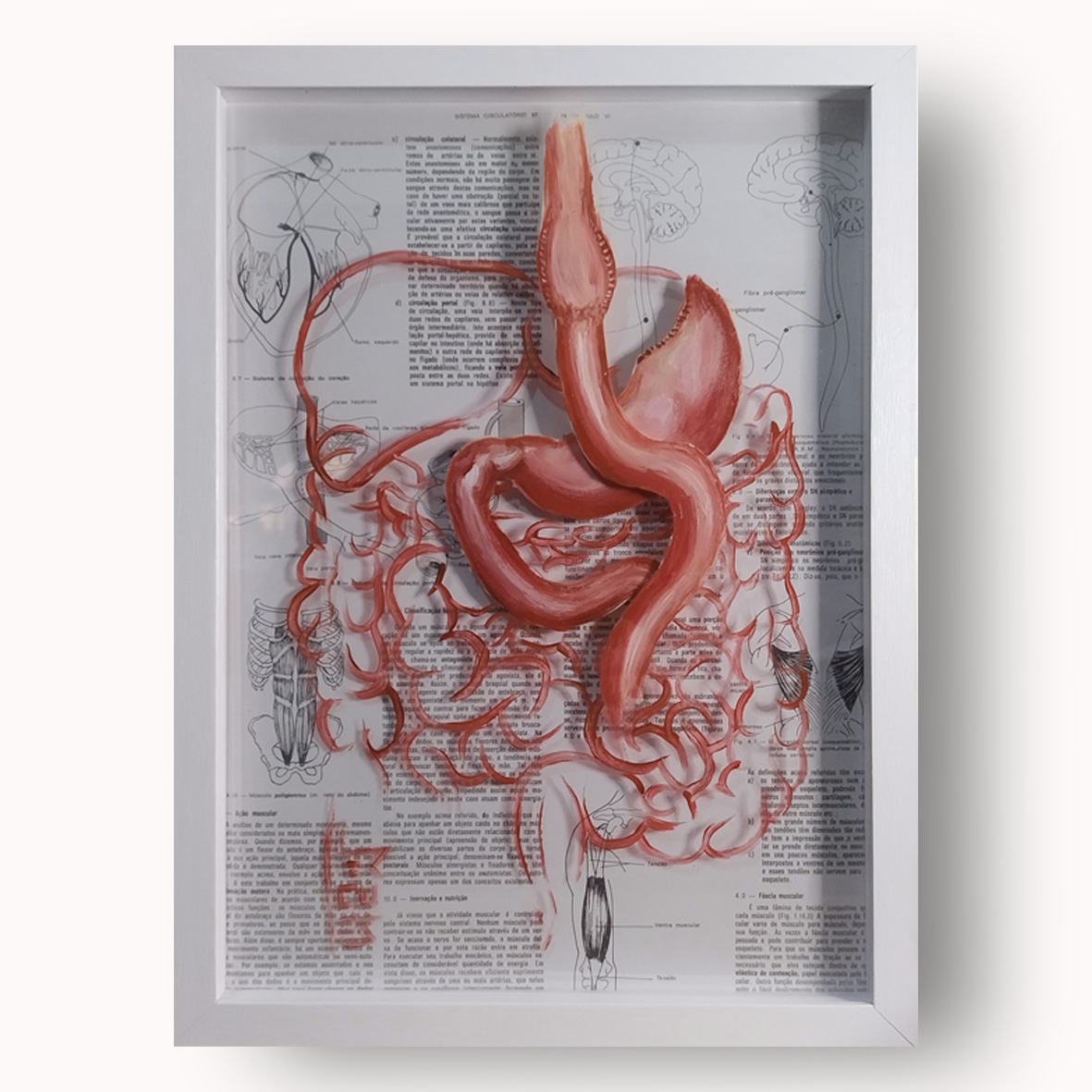Anatomía del marco decorativo – Bariátrico-Estómago y Bypass gástrico | Pintura original™