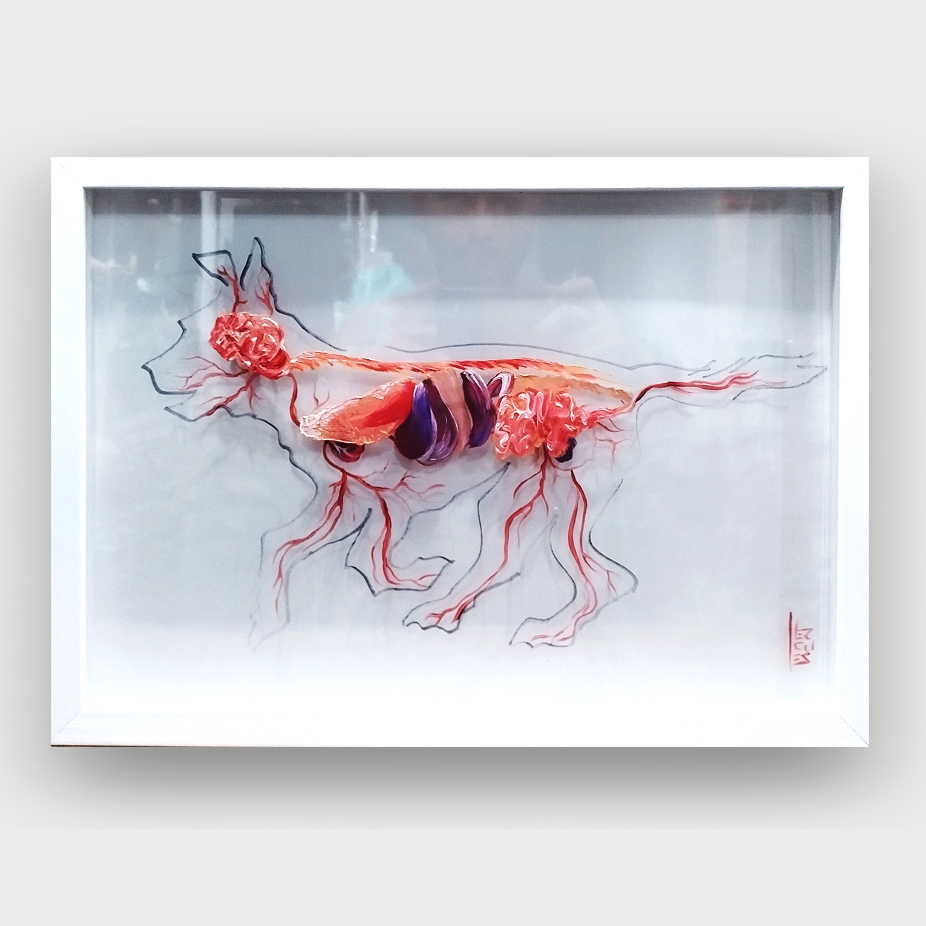 Cuadro Veterinario: Cuadro original anatomía del perro 