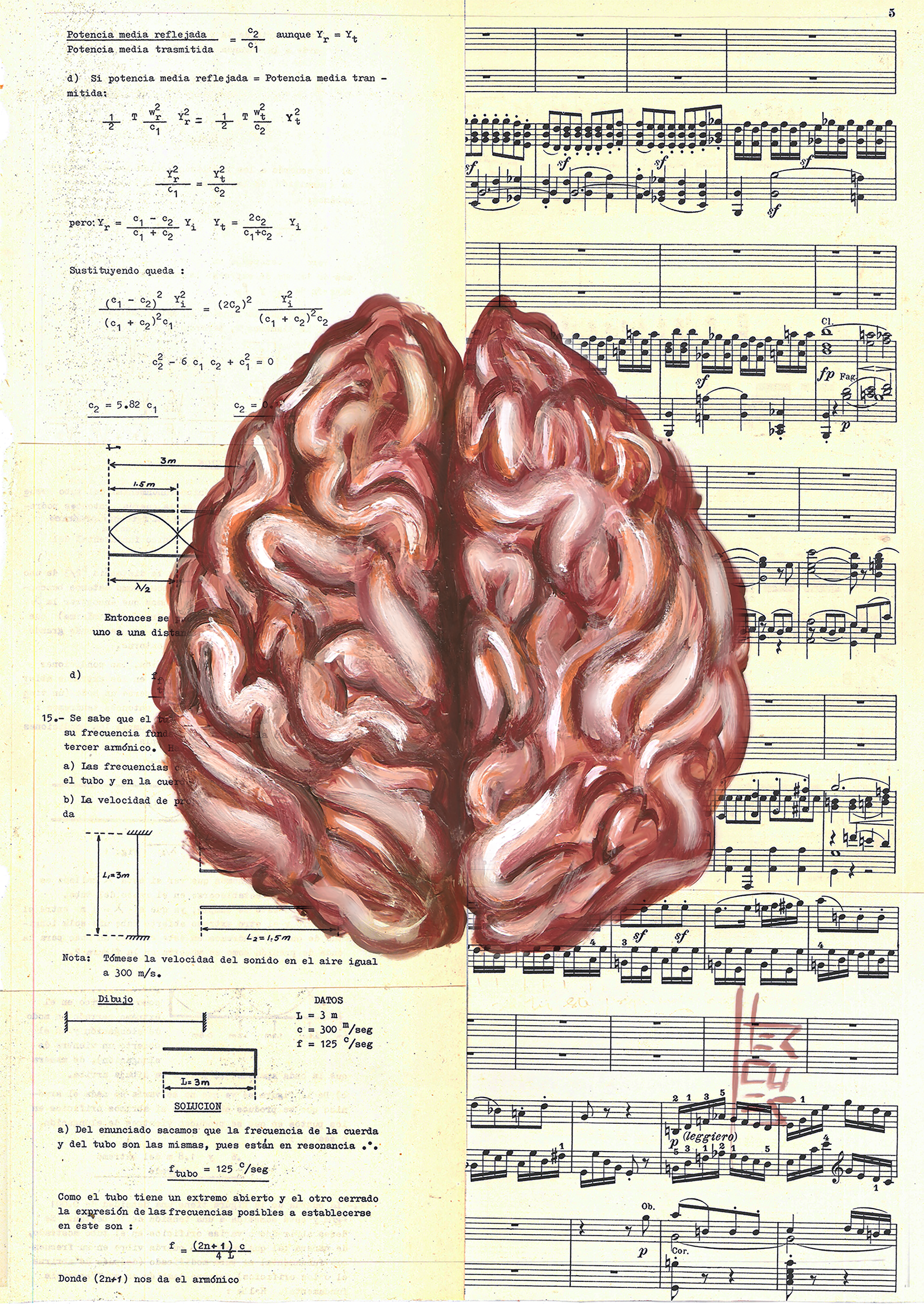 Póster decorativo Anatomía Neurología y Psicología – El cerebro y sus dos hemisferios™ 