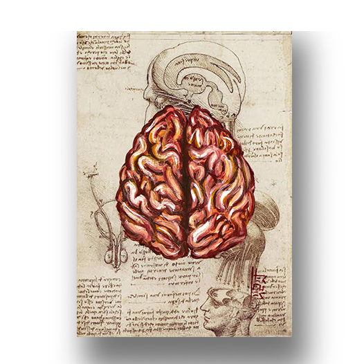 Marco cartel anatomía cerebro fondo boceto Leonardo da Vinci 