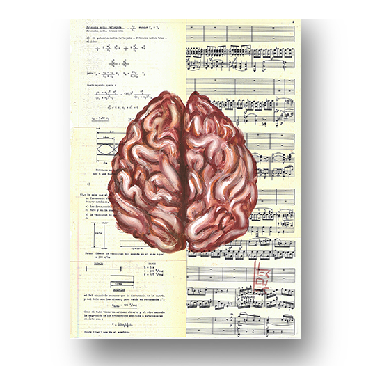 Quadro Decorativo  Pôster Anatomia Neurologia e psicologia– Cérebro e Seus Dois Hemisférios™