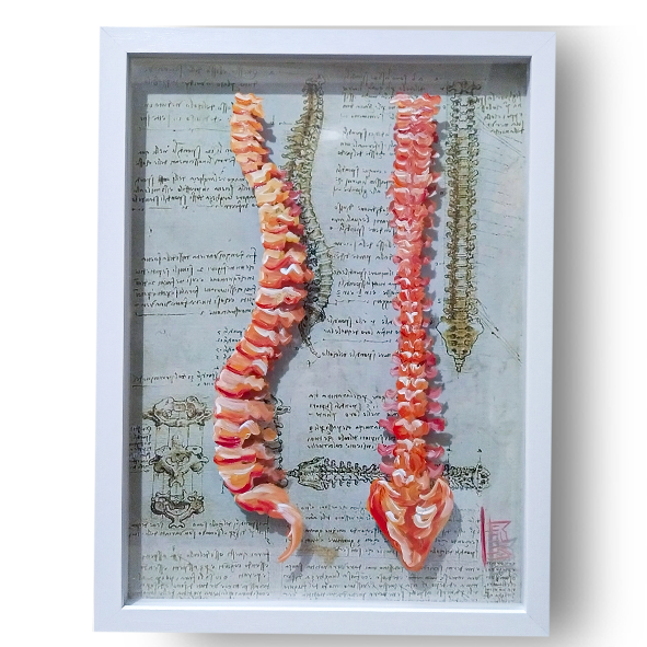 Cuadro Anatomía: Pintura original Colección columna vertebral Da Vinci 