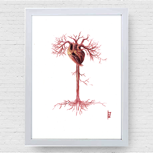 Marco de cartel de anatomía artística Corazón vascular 