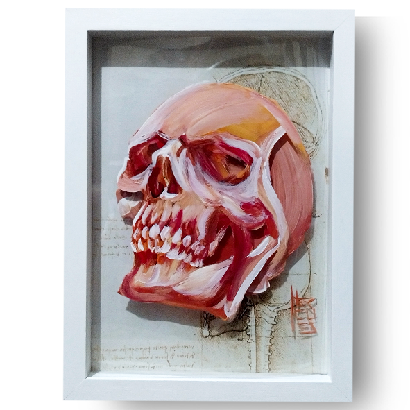 Quadro Anatomia: Pintura original Crânio coleção Da Vinci