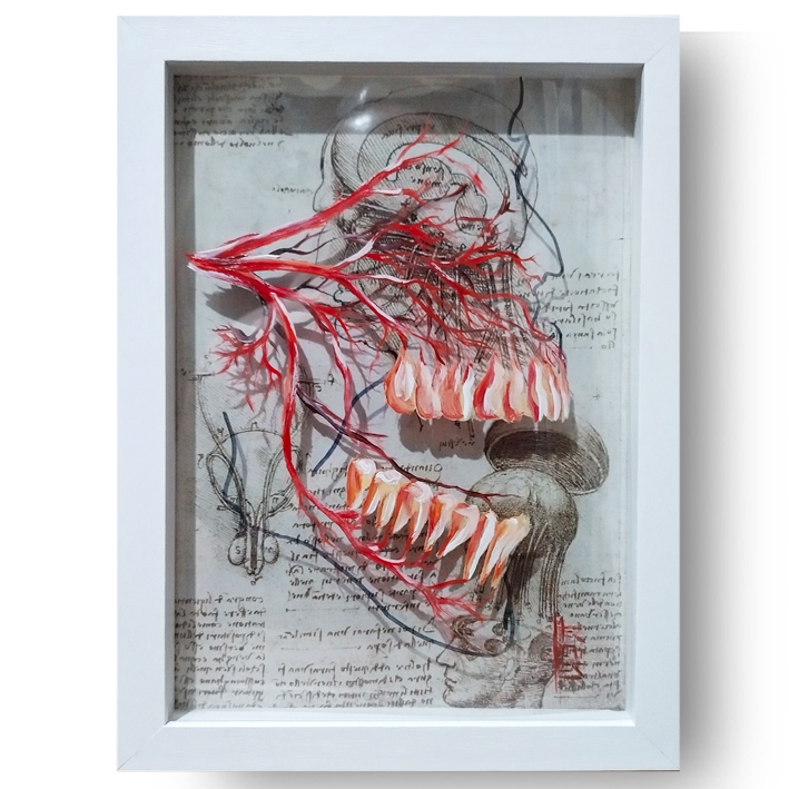 Cuadro Anatomía: Pintura original Arteria bucal Colección Leonardo Da Vinci