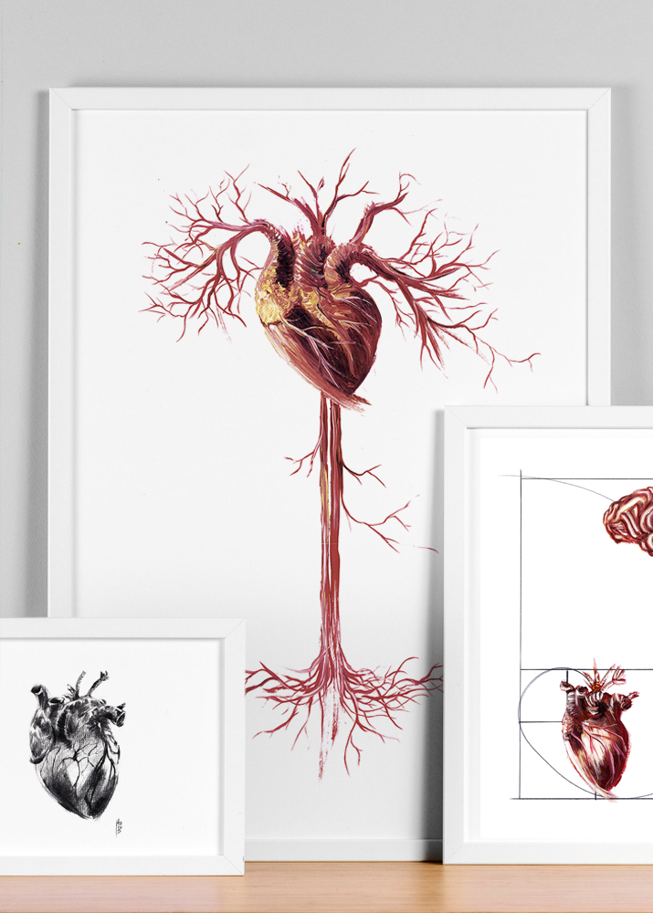 Cardiologia