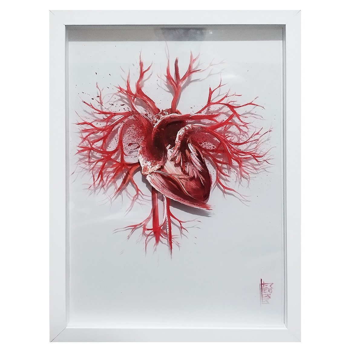 Cuadro Anatomía: Cuadro original Corazón con arterias Fondo blanco 