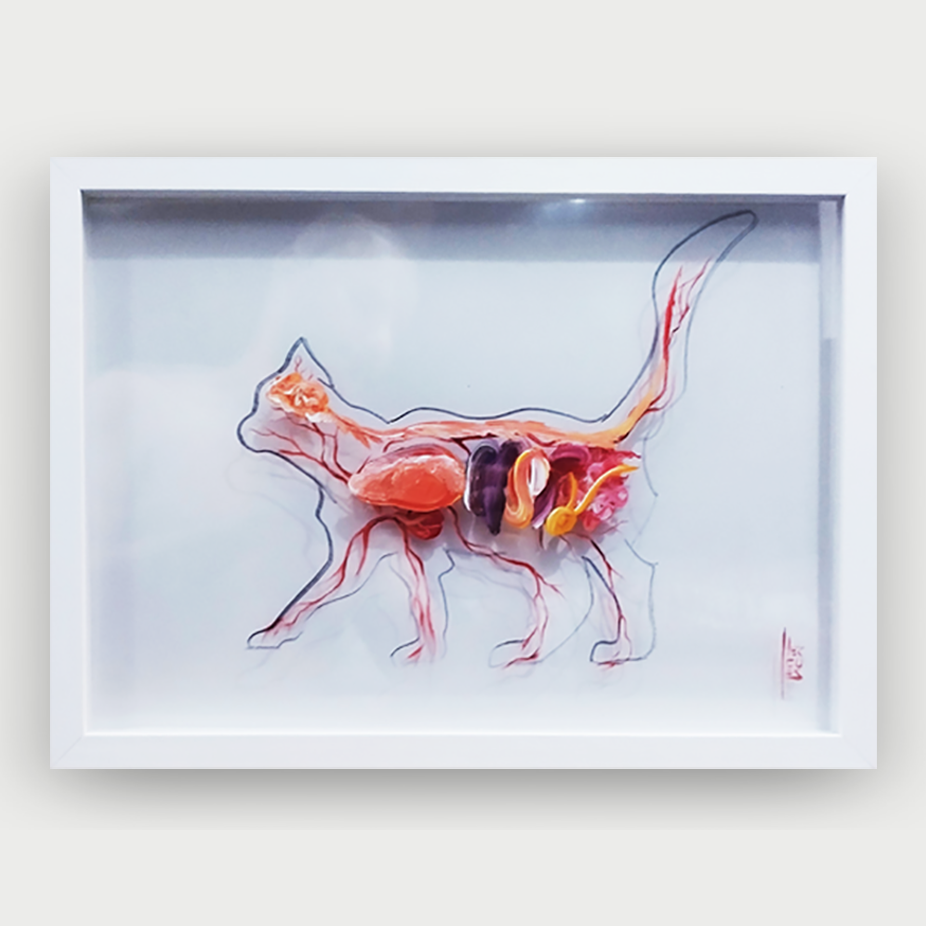Pintura Veterinaria: Pintura original de anatomía del gato. 