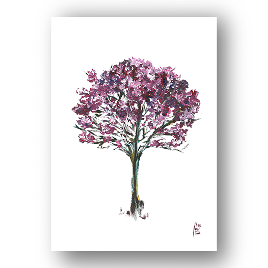 Pôster Árvore Ipê Rosa