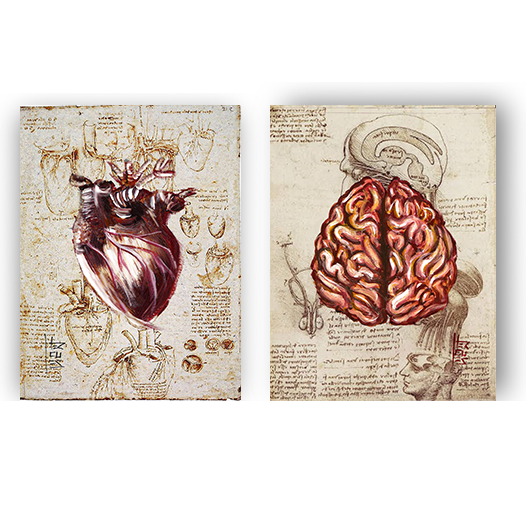 Anatomía del marco del cartel Hombre de Vitruvio con sistema circulatorio Leonardo da Vinci 