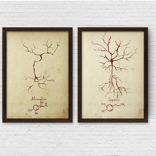 Anatomía del marco del cartel Hombre de Vitruvio con sistema circulatorio Leonardo da Vinci 