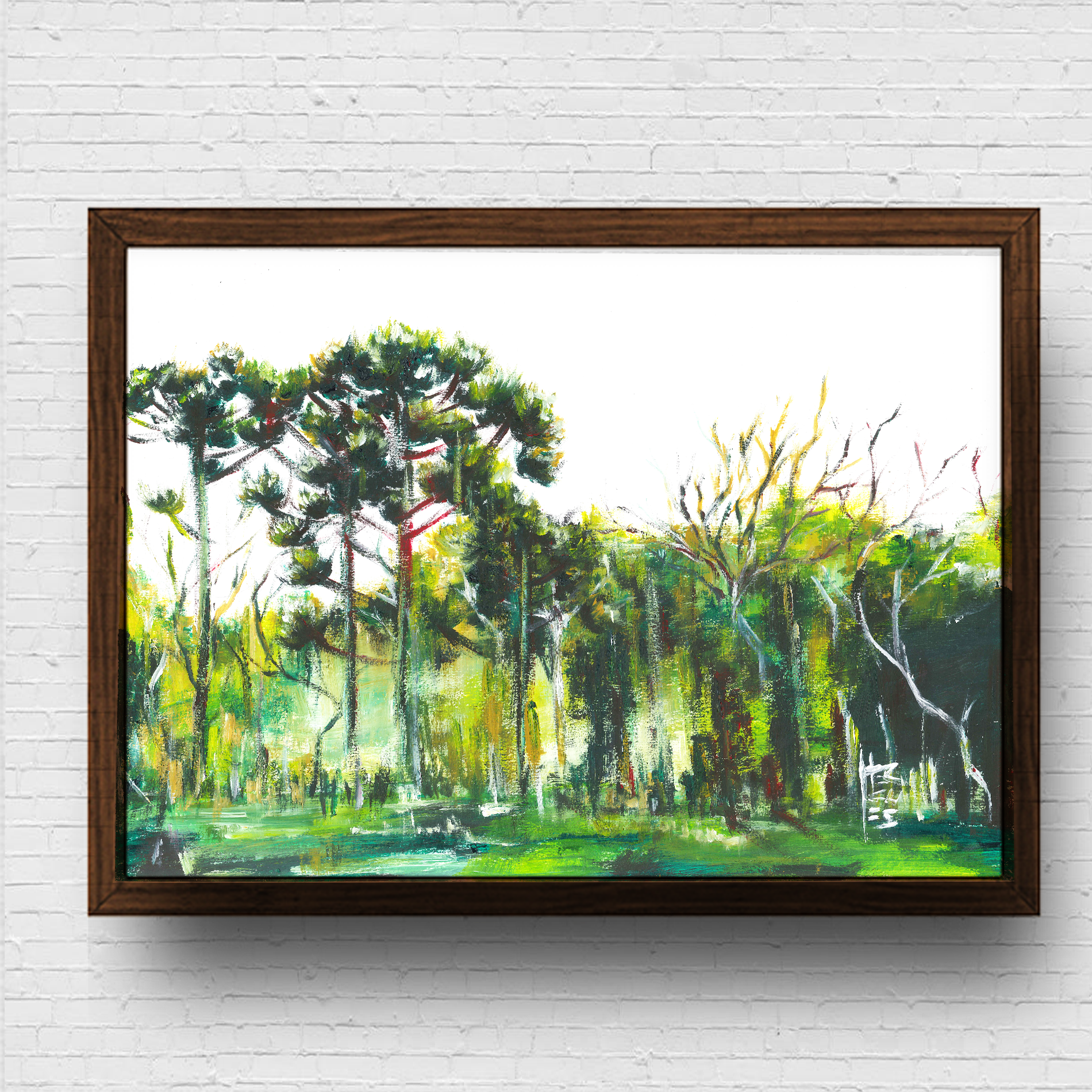Pôster Floresta de Araucárias Horizontal