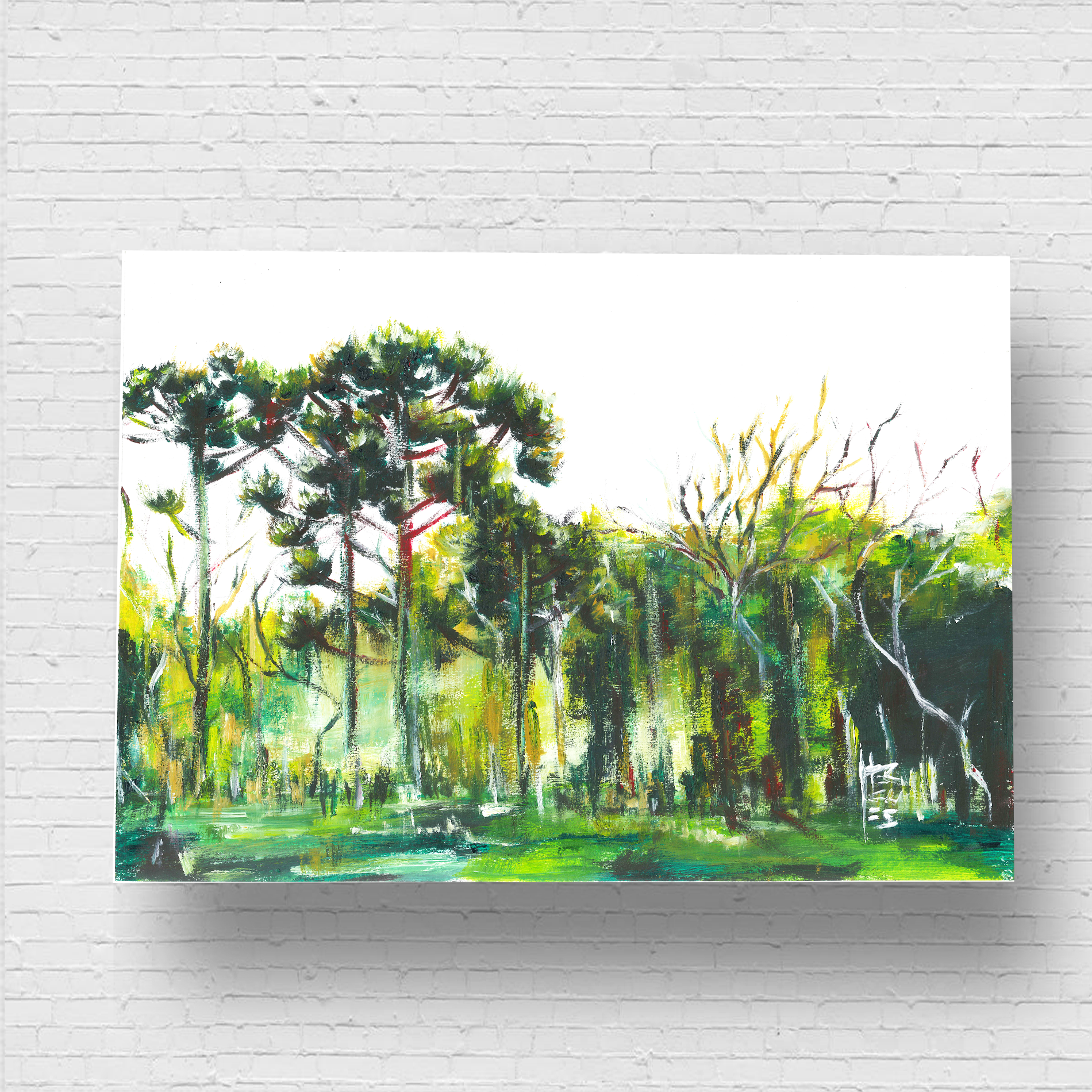 Pôster Floresta de Araucárias Horizontal