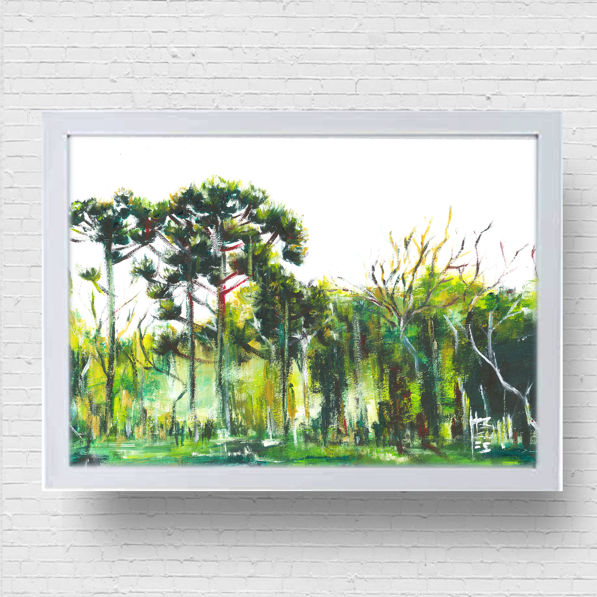 Pôster Floresta de Araucárias Horizontal