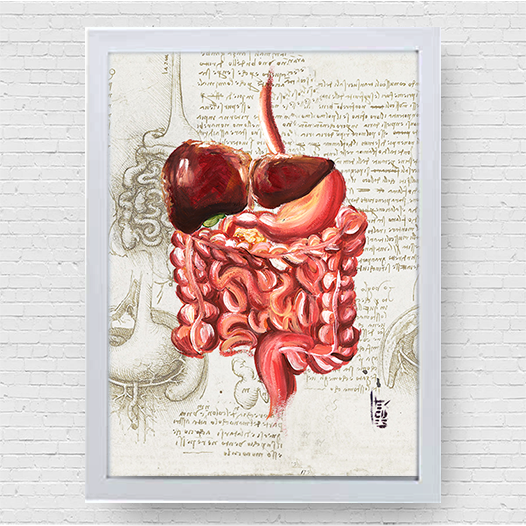 Marco de póster de anatomía: Colección del sistema digestivo Leonardo Da Vinci