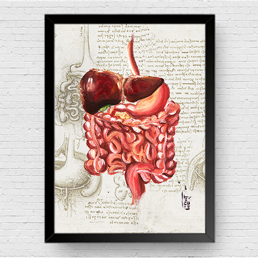 Marco de póster de anatomía: Colección del sistema digestivo Leonardo Da Vinci