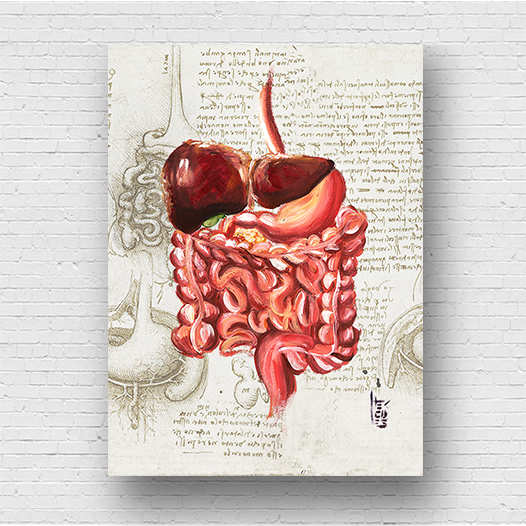 Marco de póster de anatomía: Colección del sistema digestivo Leonardo Da Vinci