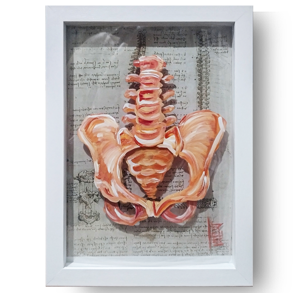 Quadro Anatomia: Pintura original Estrutura óssea quadril  Coleção Leonardo Da Vinci