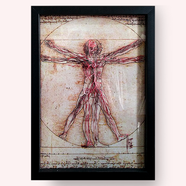 Cuadro de anatomía-cardiología-neurología: Cuadro original del Hombre de Vitruvio™
