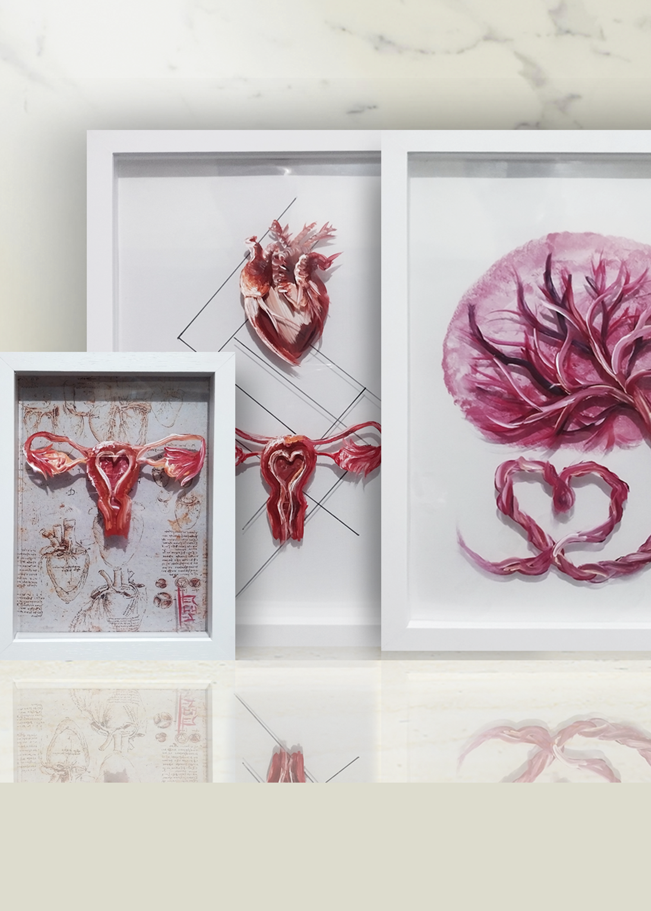 Ginecologia/Urologia