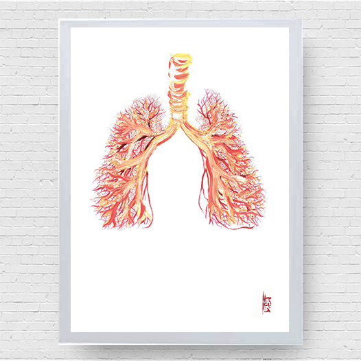 Marco de póster de anatomía: Sistema Nervioso 