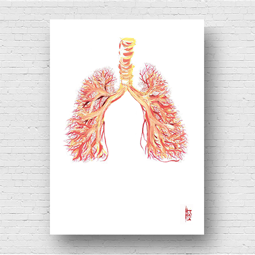 Marco de póster de anatomía: Sistema Nervioso 