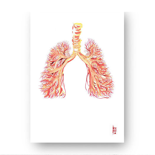 Marco de póster de anatomía: Sistema Nervioso 