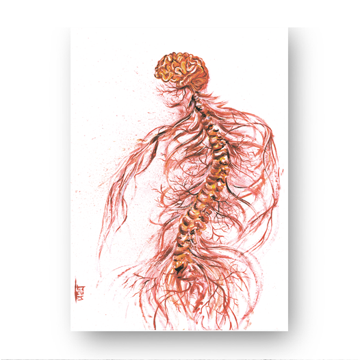 Marco de póster de anatomía: Sistema Nervioso 