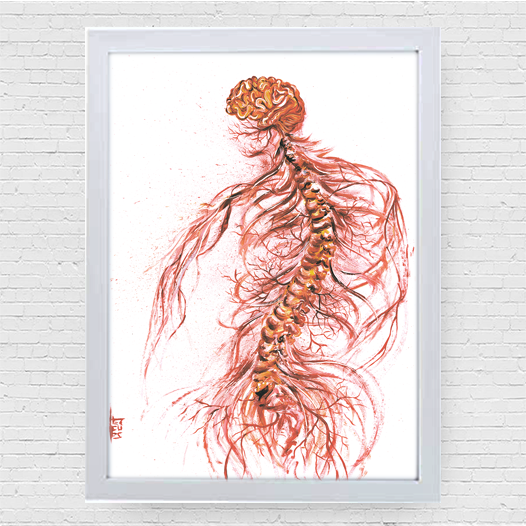Marco de póster de anatomía: Sistema Nervioso 