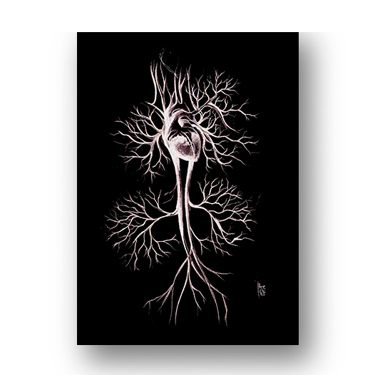 Póster de anatomía del sistema circulatorio en blanco y negro, fondo negro en blanco y negro 