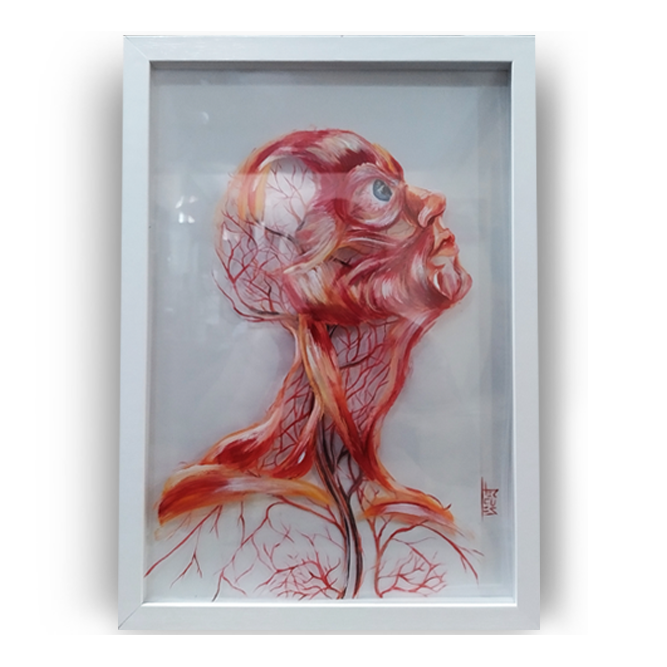 Cuadro Anatomía: Pintura original de la cara con vasos sanguíneos. 