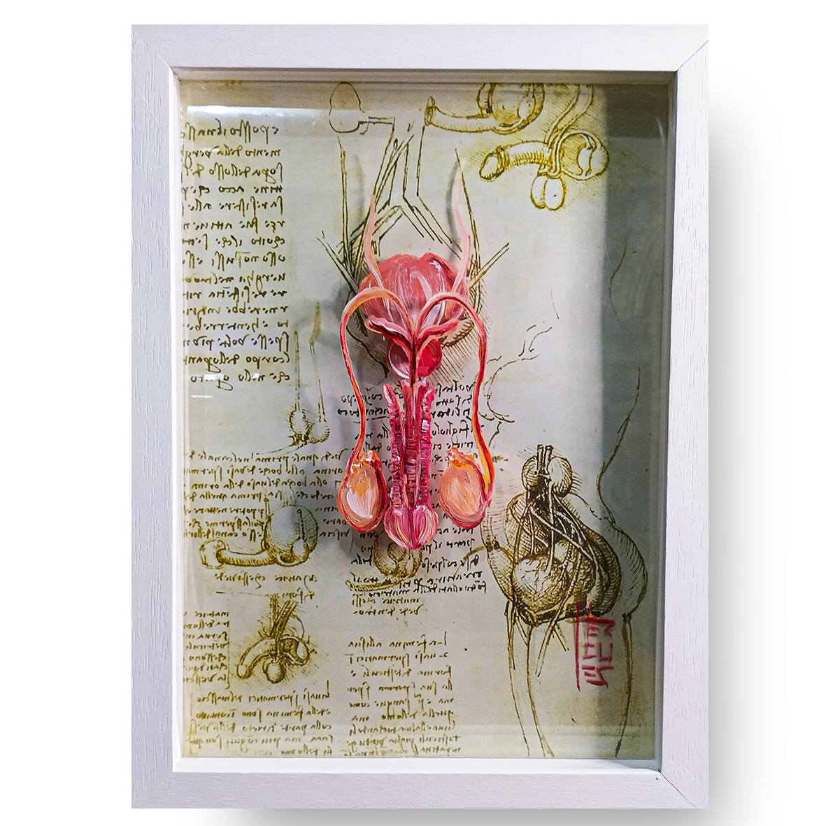 Anatomía: Pintura original Sistema reproductor masculino Colección Da Vinci 