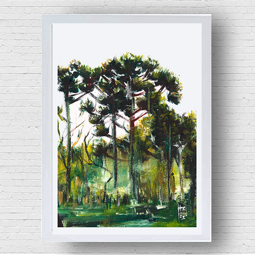 Quadro pôster Floresta de Araucárias