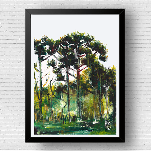 Quadro pôster Floresta de Araucárias