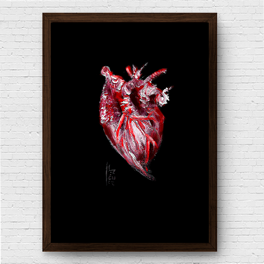 Quadro pôster anatomia coração fundo escuro
