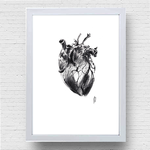 Quadro pôster anatomia coração em grafite P&B