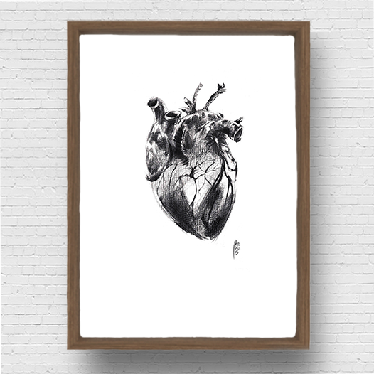 Affiche Anatomie du coeur en graphite noir et blanc 
