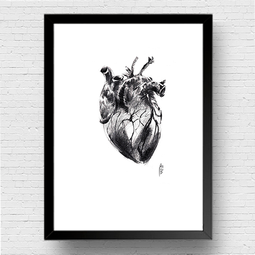 Affiche Anatomie du coeur en graphite noir et blanc 