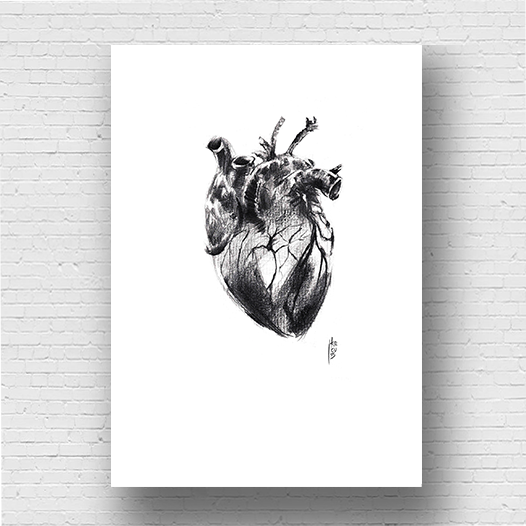 Affiche Anatomie du coeur en graphite noir et blanc 