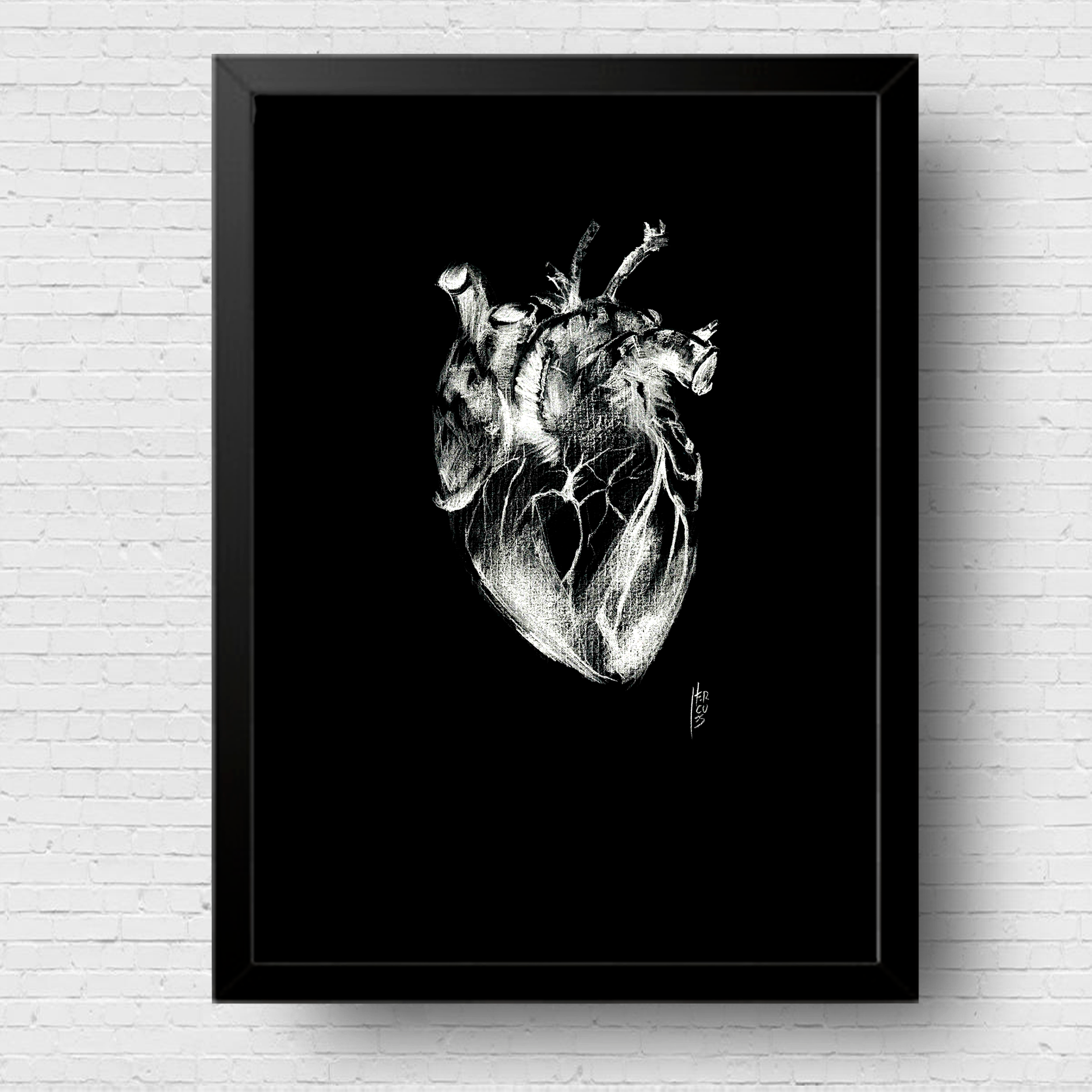 Quadro pôster anatomia coração Preto e branco grafite P&B