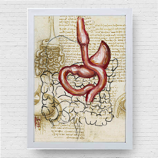 Marco de póster de anatomía: boceto de bypass gástrico del estómago Da vinci 